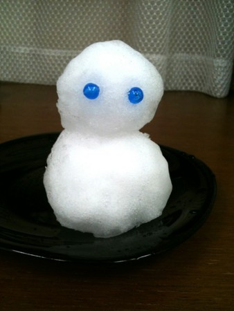 f:id:torimusi:20100309232707j:image
