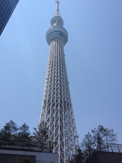 f:id:torimusi:20120520090142j:image f:id:torimusi:20120520090142j:image