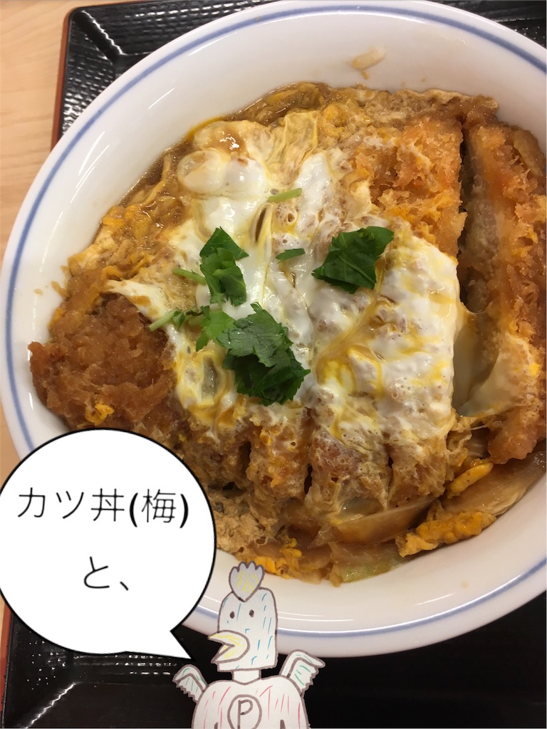 f:id:torimuso:20170813192052j:image