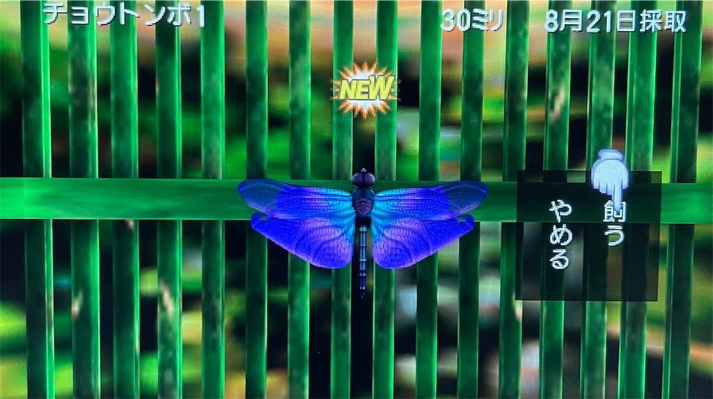 Psp版 ぼくのなつやすみ2 プレイ日記 21日目 波乱の予感 とりねの備忘録 Psp版 ぼくのなつやすみ2 プレイ日記 21日目 波乱の予感 とりねの備忘録