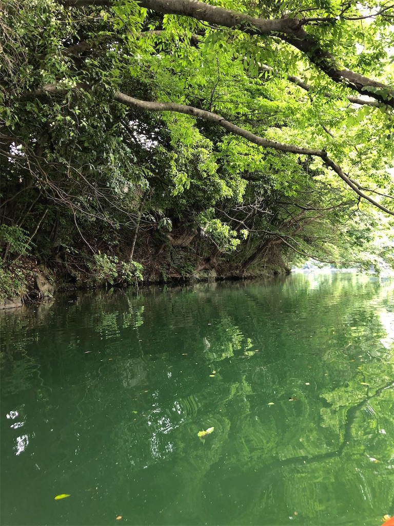 f:id:toriniku2019:20220428195331j:image