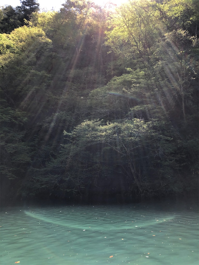 f:id:toriniku2019:20220428200516j:image