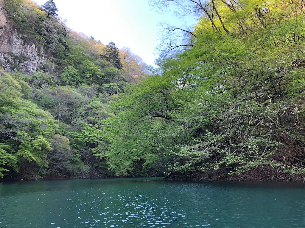 f:id:toriniku2019:20220428200525j:image