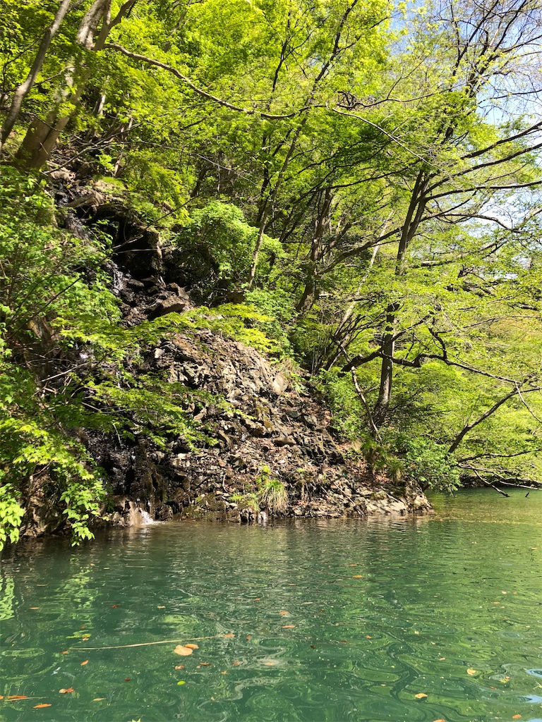 f:id:toriniku2019:20220428200558j:image