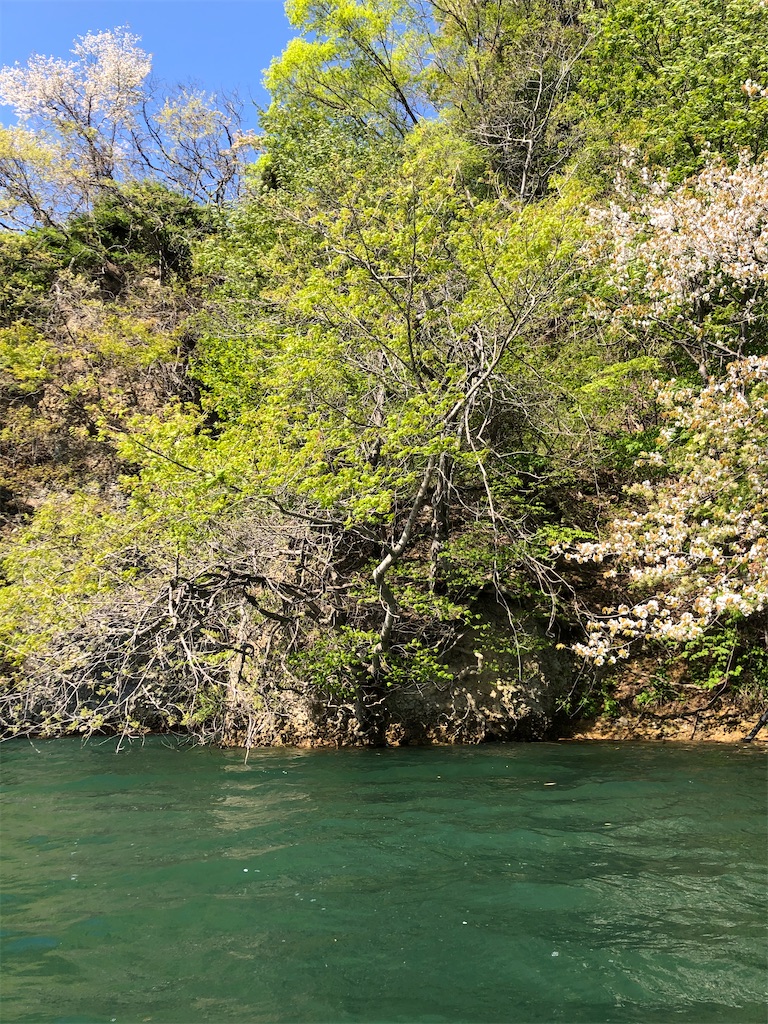 f:id:toriniku2019:20220428200627j:image