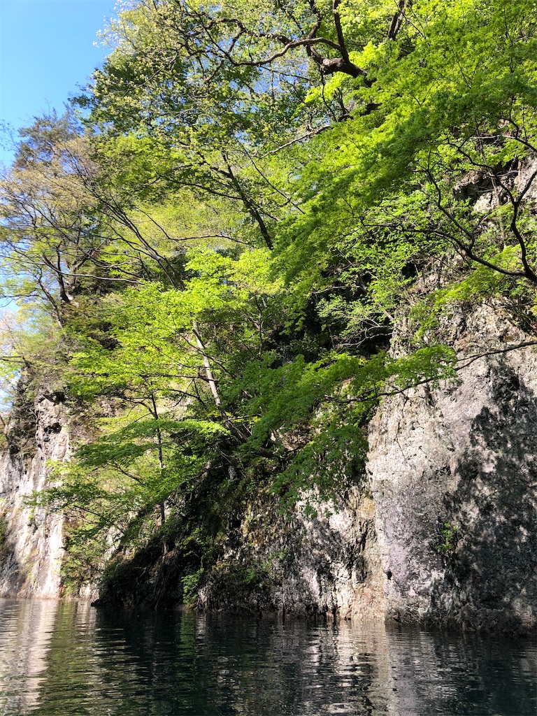 f:id:toriniku2019:20220428200647j:image