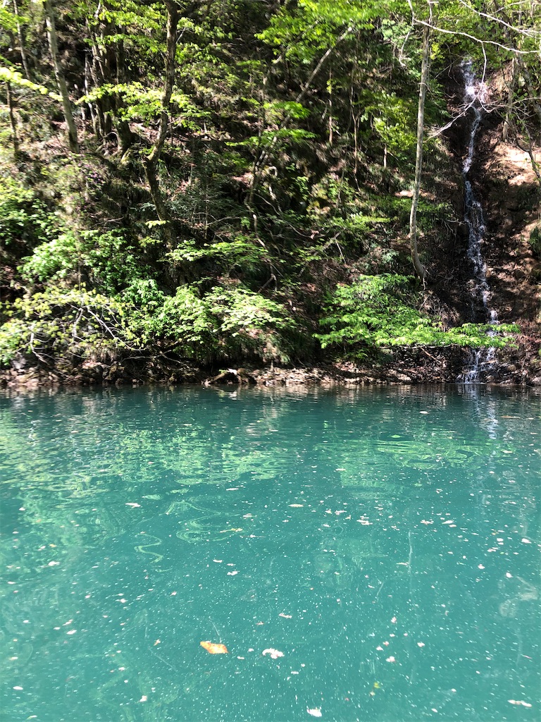 f:id:toriniku2019:20220428200723j:image