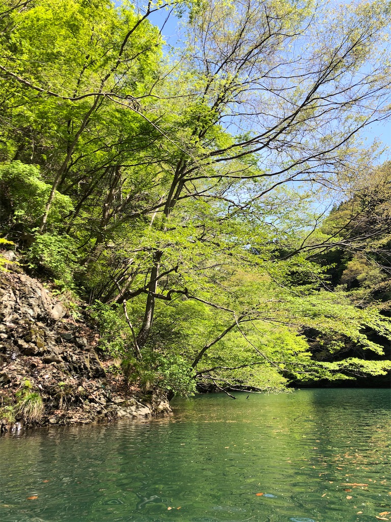 f:id:toriniku2019:20220428200727j:image