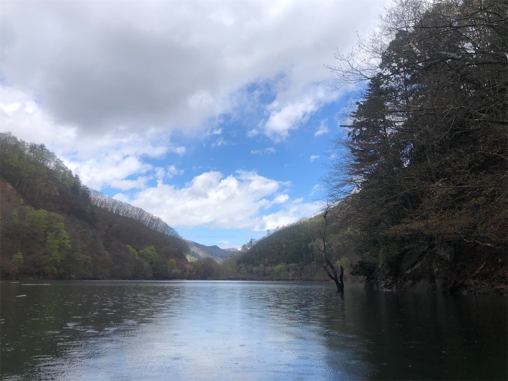 f:id:toriniku2019:20220428201737j:image