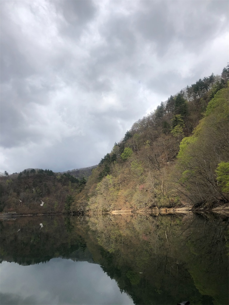 f:id:toriniku2019:20220428201741j:image