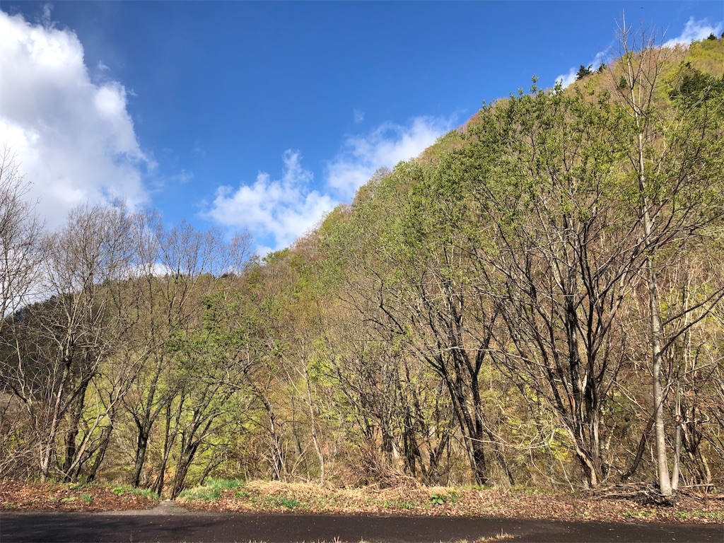 f:id:toriniku2019:20220428201746j:image