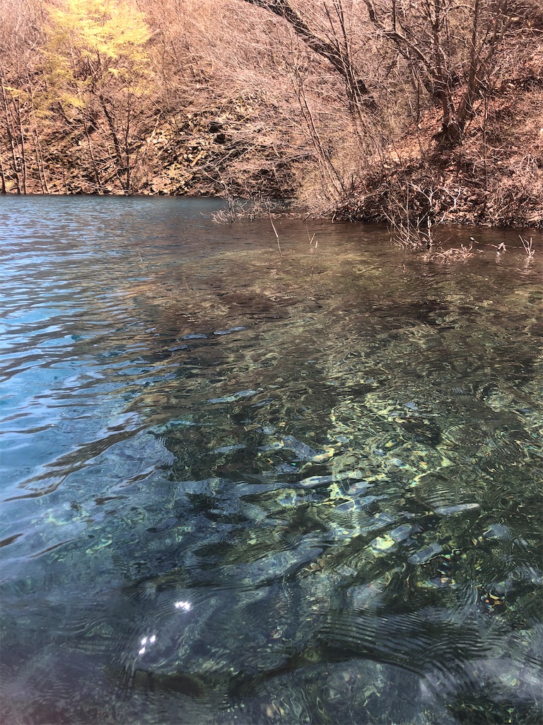 f:id:toriniku2019:20220428211308j:image