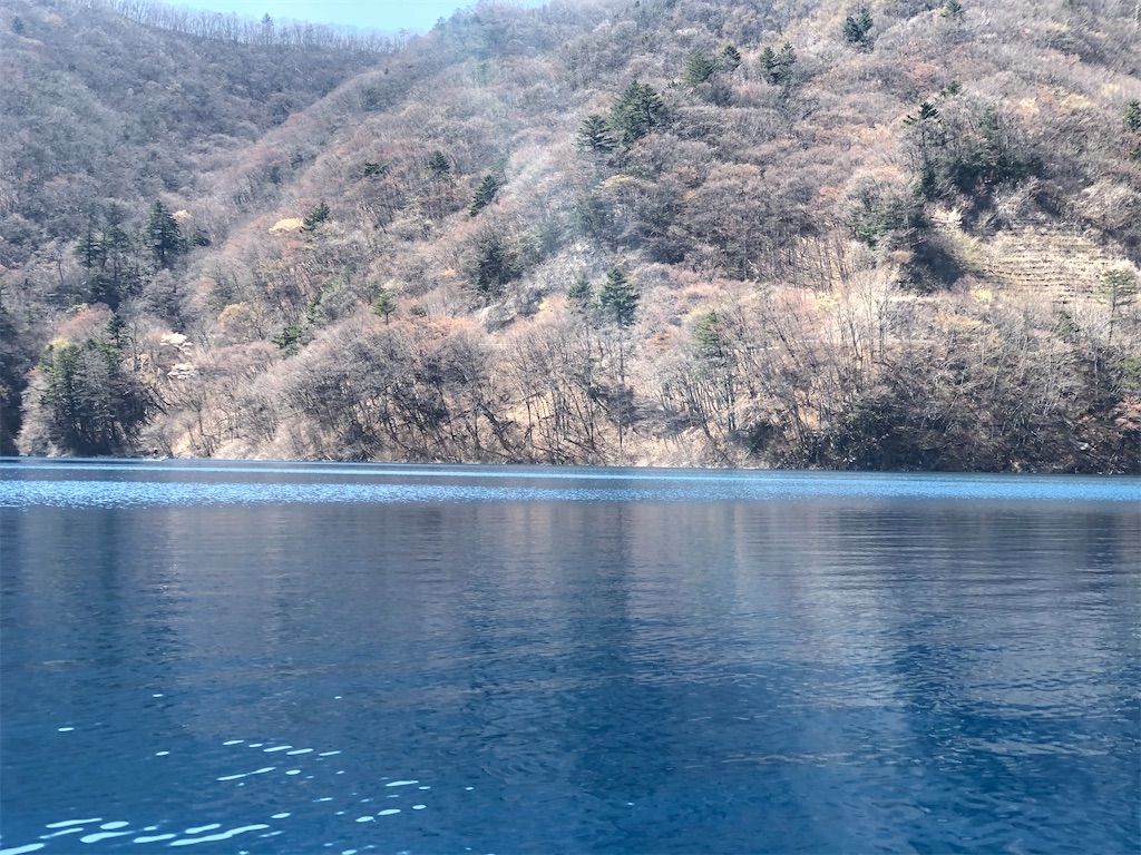 f:id:toriniku2019:20220428211331j:image
