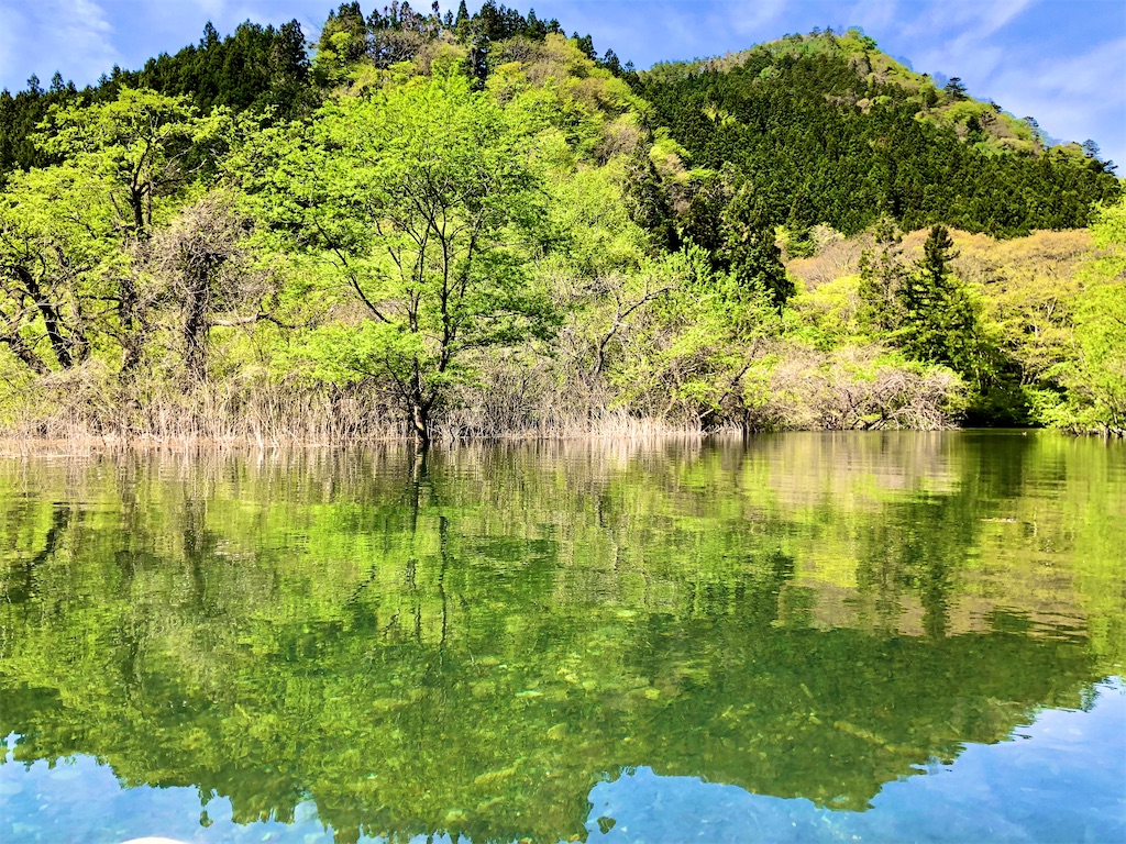f:id:toriniku2019:20220501170625j:image