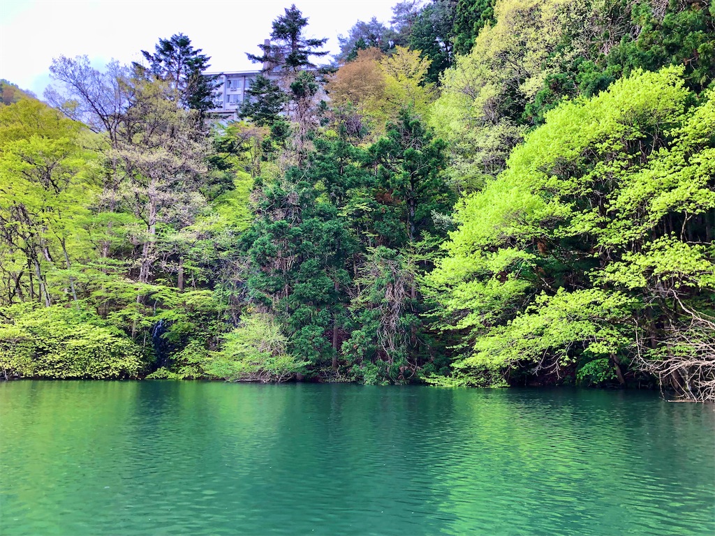 f:id:toriniku2019:20220501170640j:image