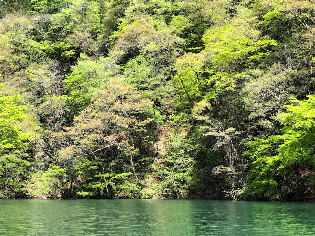 f:id:toriniku2019:20220501170646j:image