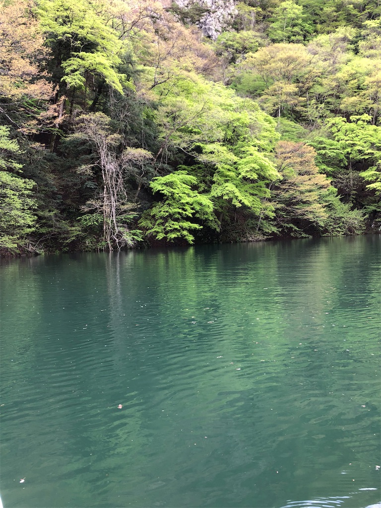f:id:toriniku2019:20220501170730j:image