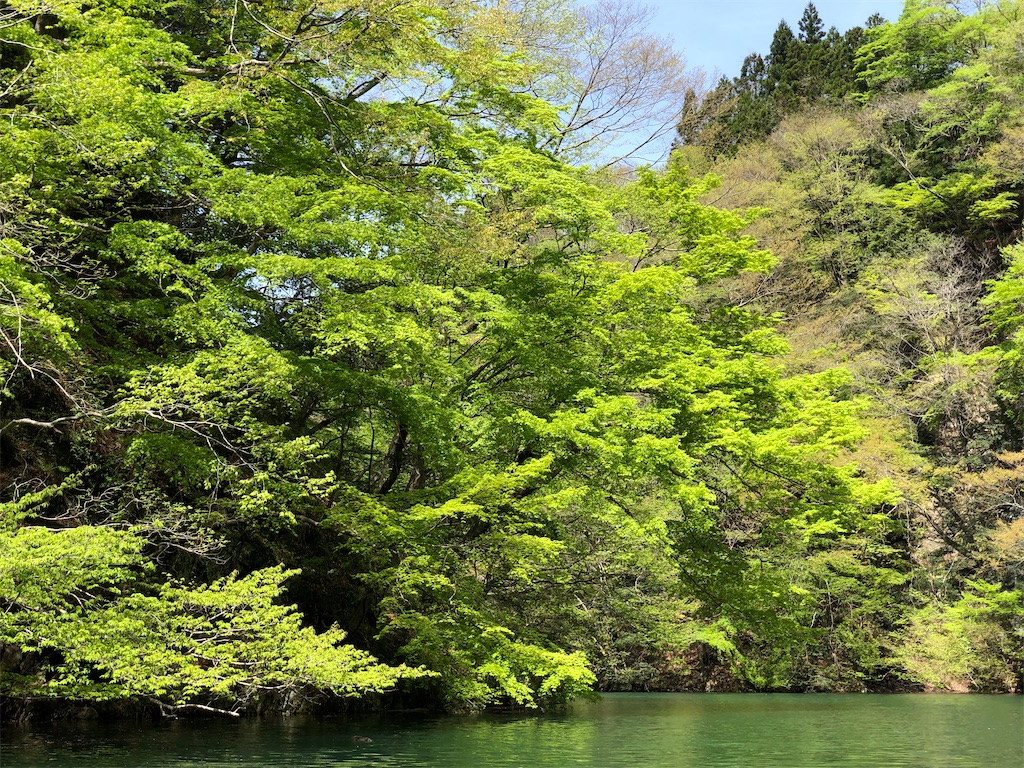 f:id:toriniku2019:20220501170739j:image
