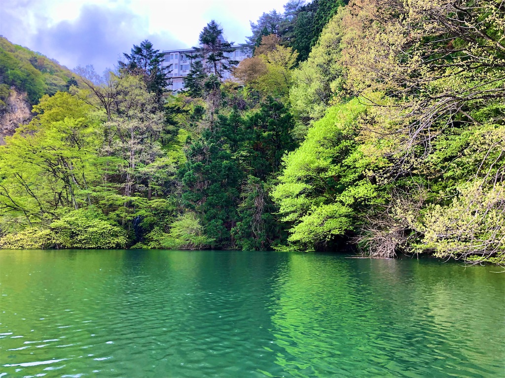 f:id:toriniku2019:20220501170750j:image