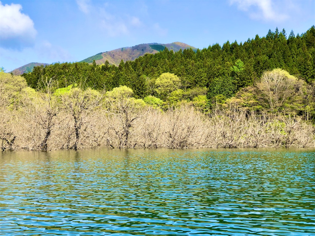 f:id:toriniku2019:20220501170755j:image