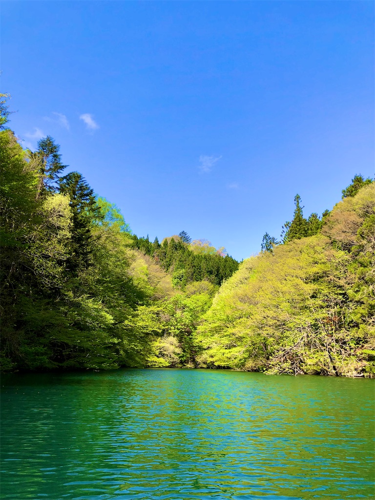 f:id:toriniku2019:20220501170811j:image