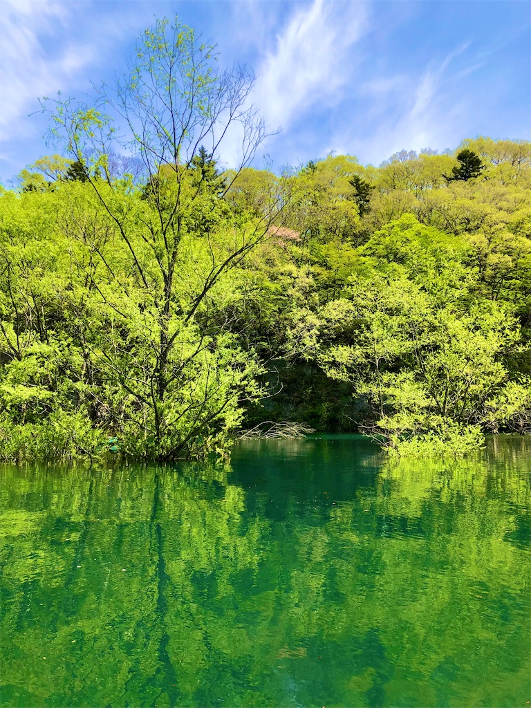 f:id:toriniku2019:20220501170840j:image