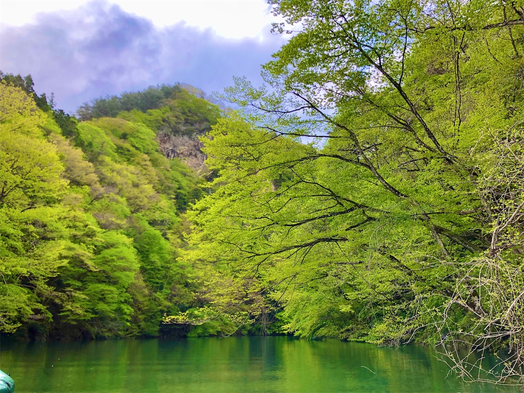 f:id:toriniku2019:20220501170851j:image