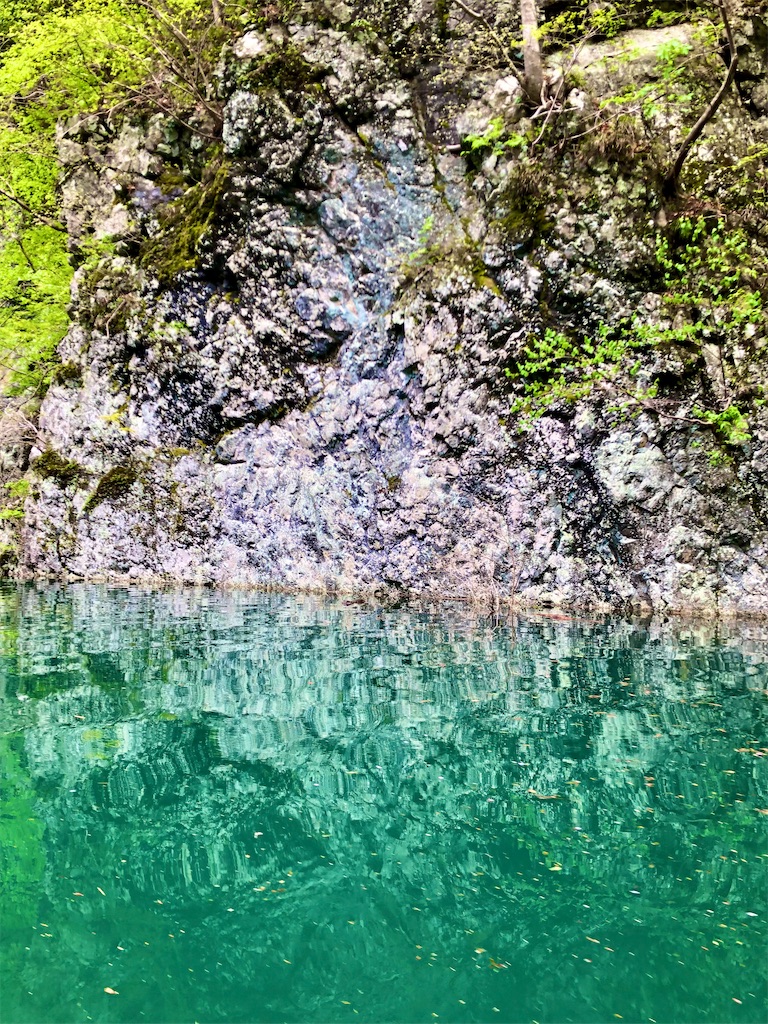 f:id:toriniku2019:20220501170902j:image