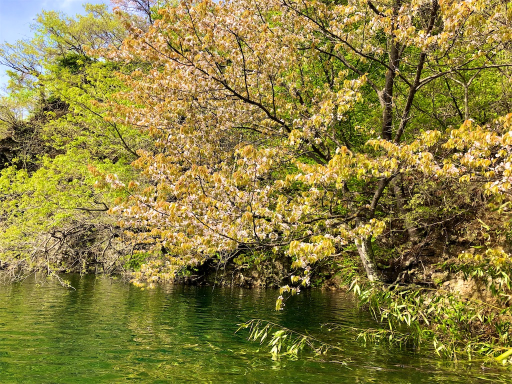 f:id:toriniku2019:20220501170915j:image