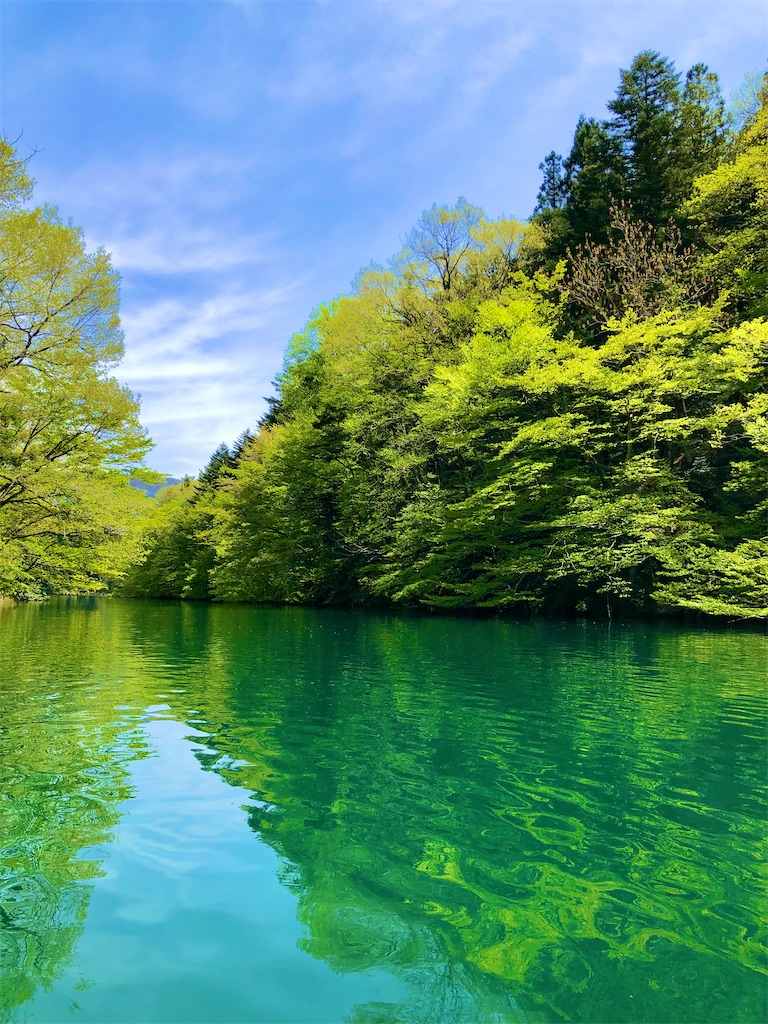 f:id:toriniku2019:20220501170925j:image