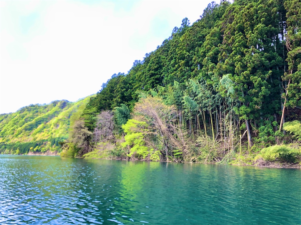 f:id:toriniku2019:20220501170929j:image