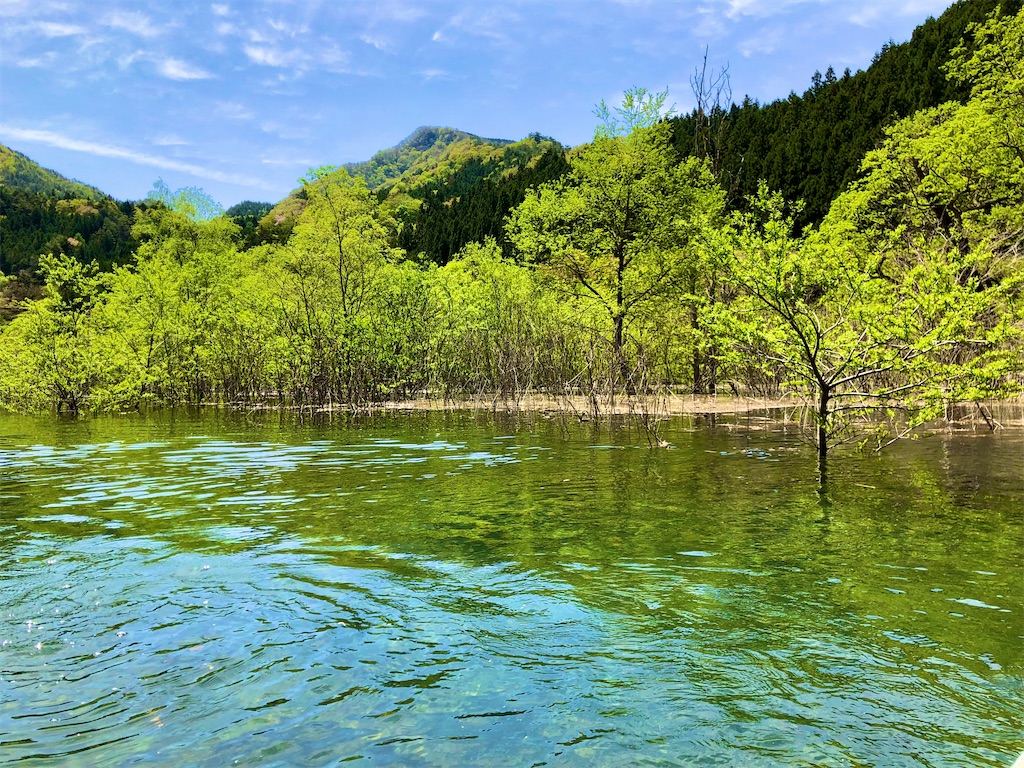 f:id:toriniku2019:20220501170935j:image