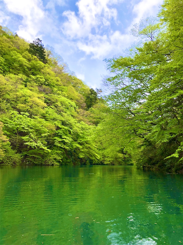 f:id:toriniku2019:20220501170953j:image