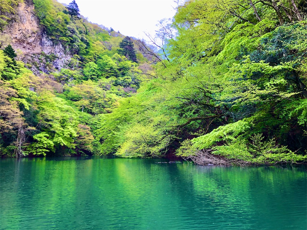 f:id:toriniku2019:20220501170958j:image