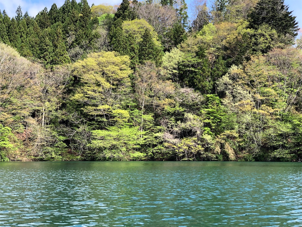 f:id:toriniku2019:20220501171006j:image