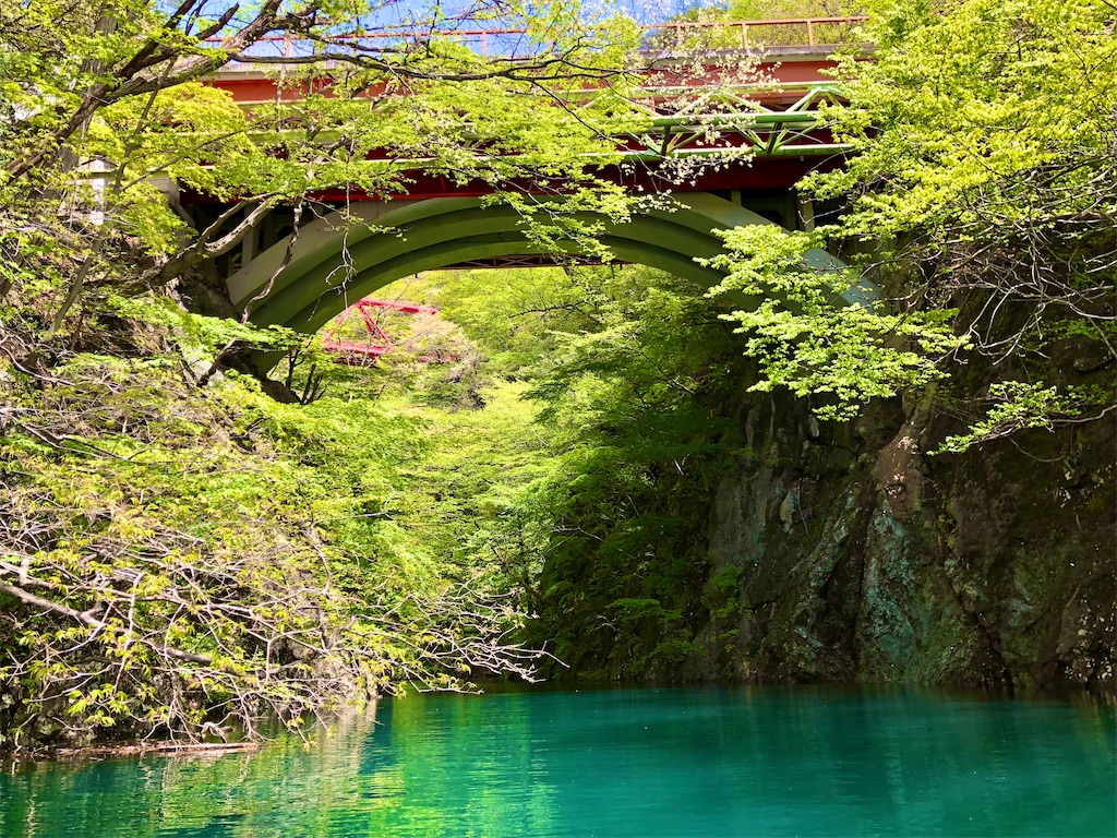 f:id:toriniku2019:20220501171017j:image
