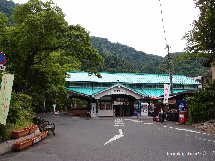 f:id:torinikugobou:20170613135350j:plain f:id:torinikugobou:20170613135350j:plain
