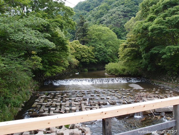 f:id:torinikugobou:20170613135838j:plain f:id:torinikugobou:20170613135838j:plain