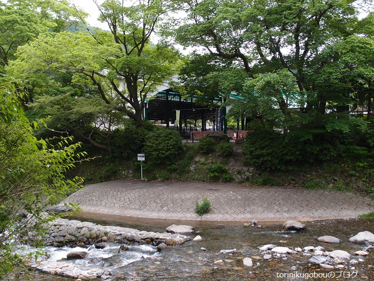 f:id:torinikugobou:20170613140024j:plain f:id:torinikugobou:20170613140024j:plain