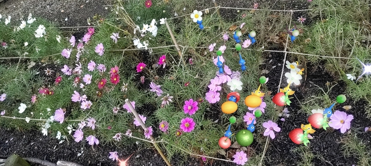 花畑でピクミン