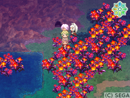 f:id:torinity0:20081209221855p:image