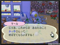 f:id:torinity0:20081213000703p:image