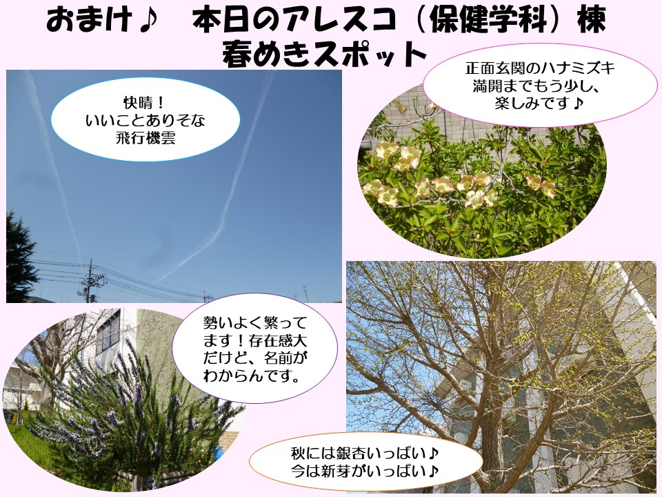 鳥取 大学 まな ば 鳥取大学生活協同組合へようこそ Amp Petmd Com