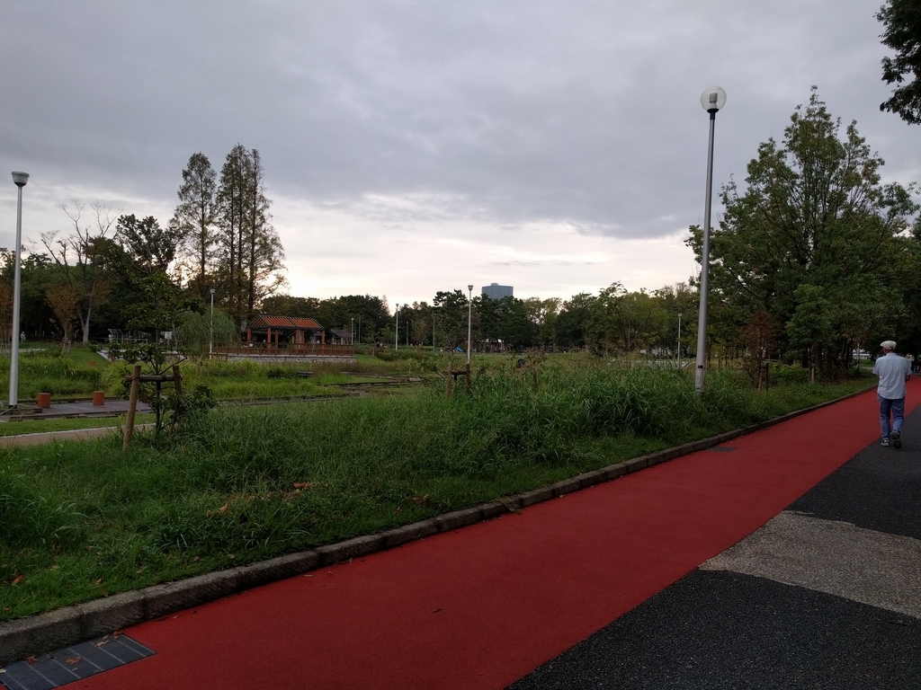 f:id:torisyun:20180915212855j:plain