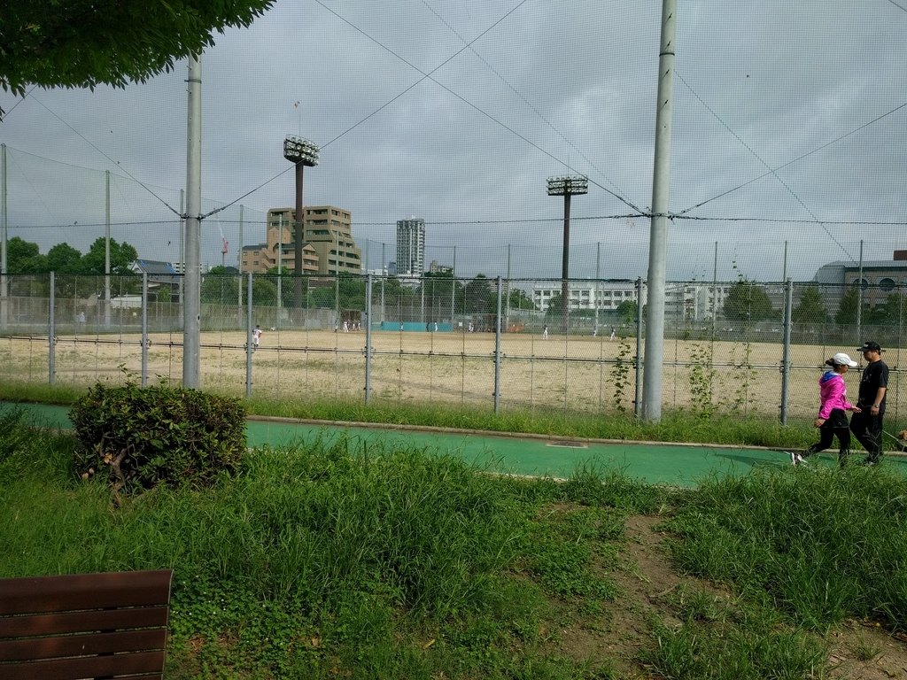 f:id:torisyun:20180915220033j:plain