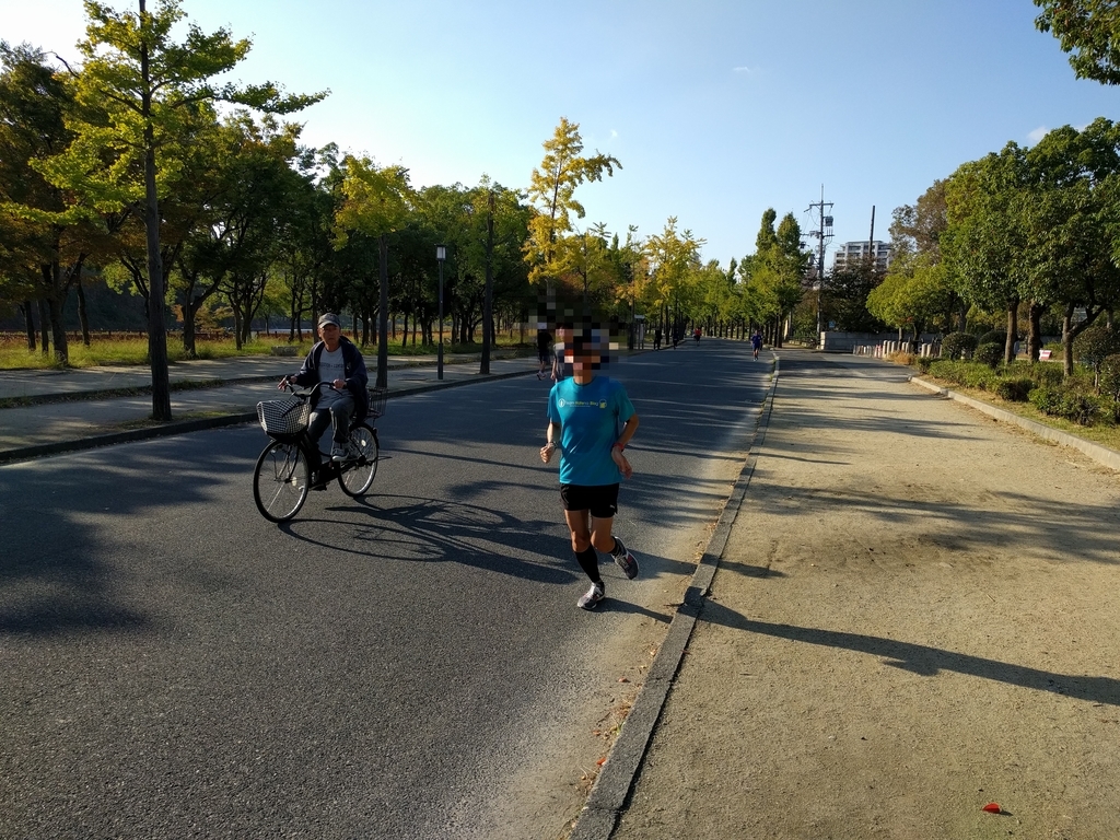 f:id:torisyun:20181029202510j:plain f:id:torisyun:20181029202510j:plain