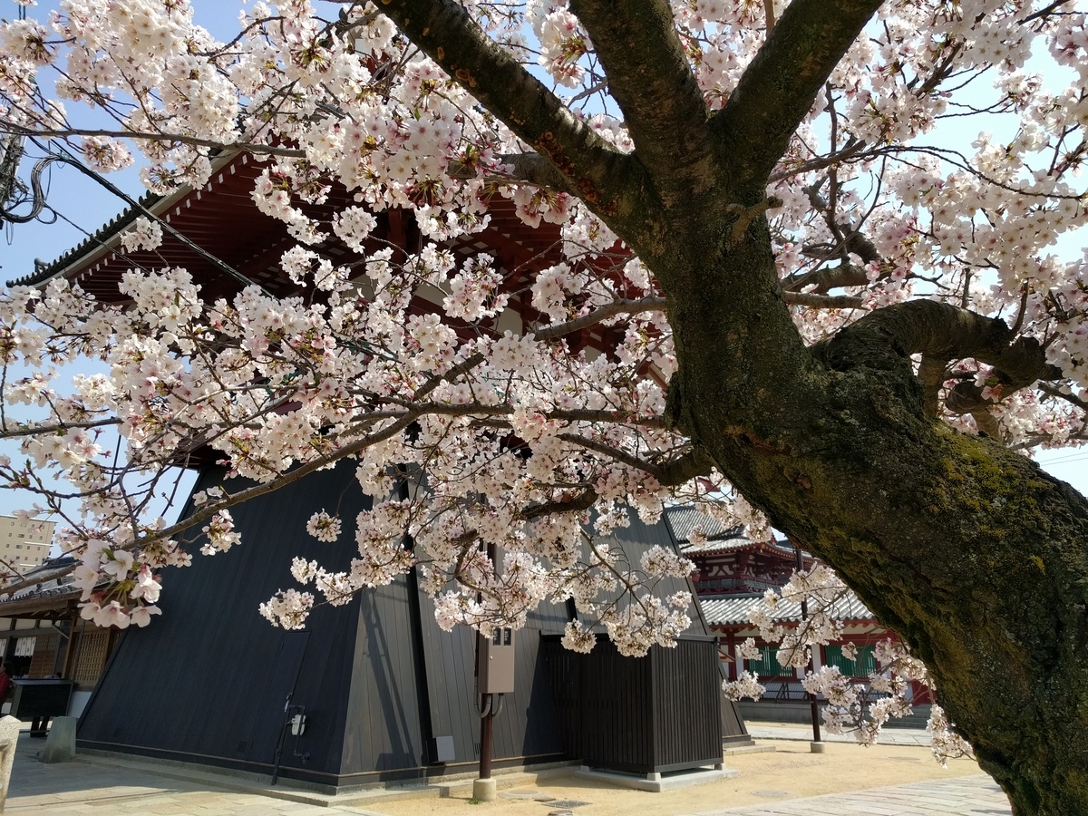f:id:torisyun:20190408110832j:plain