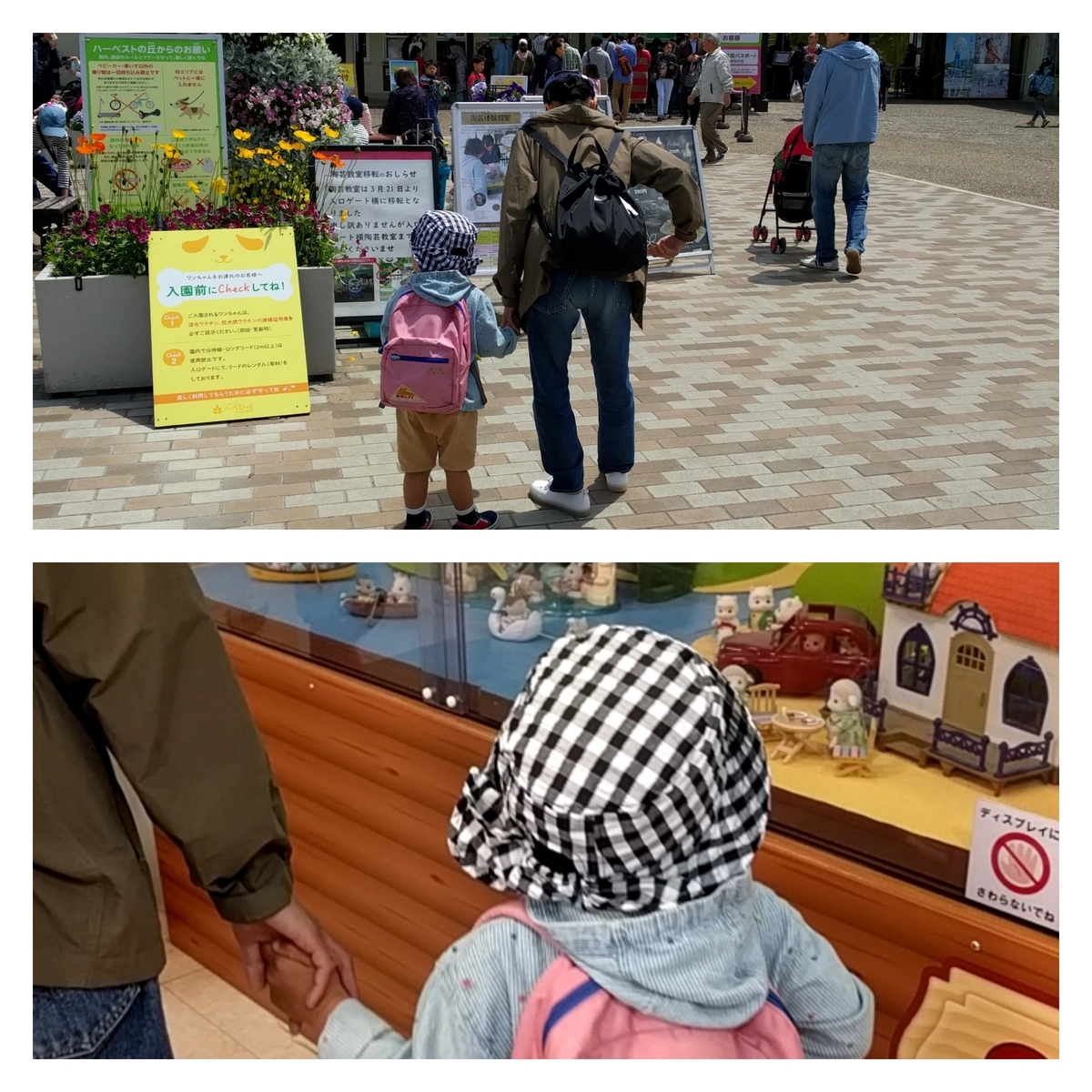 f:id:torisyun:20190504053614j:plain