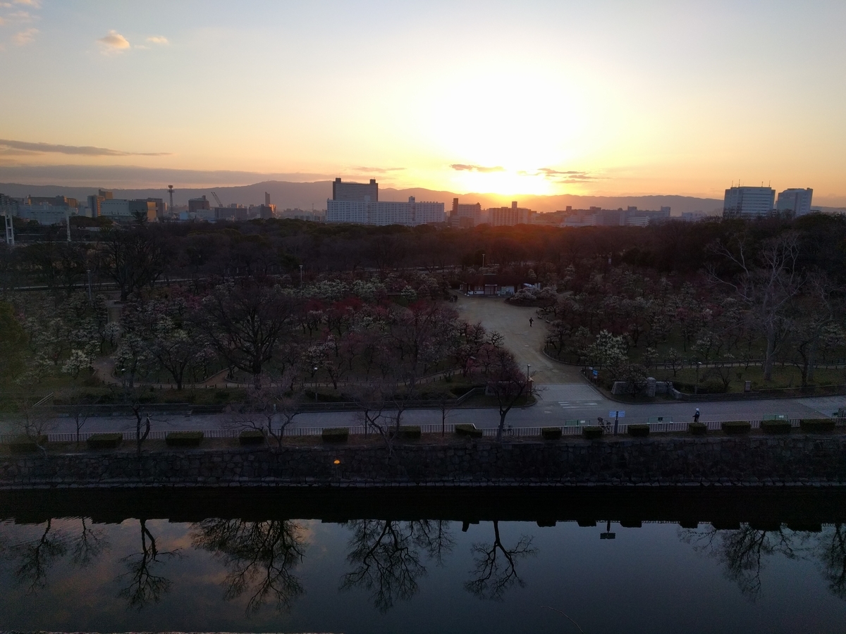 f:id:torisyun:20200212083443j:plain