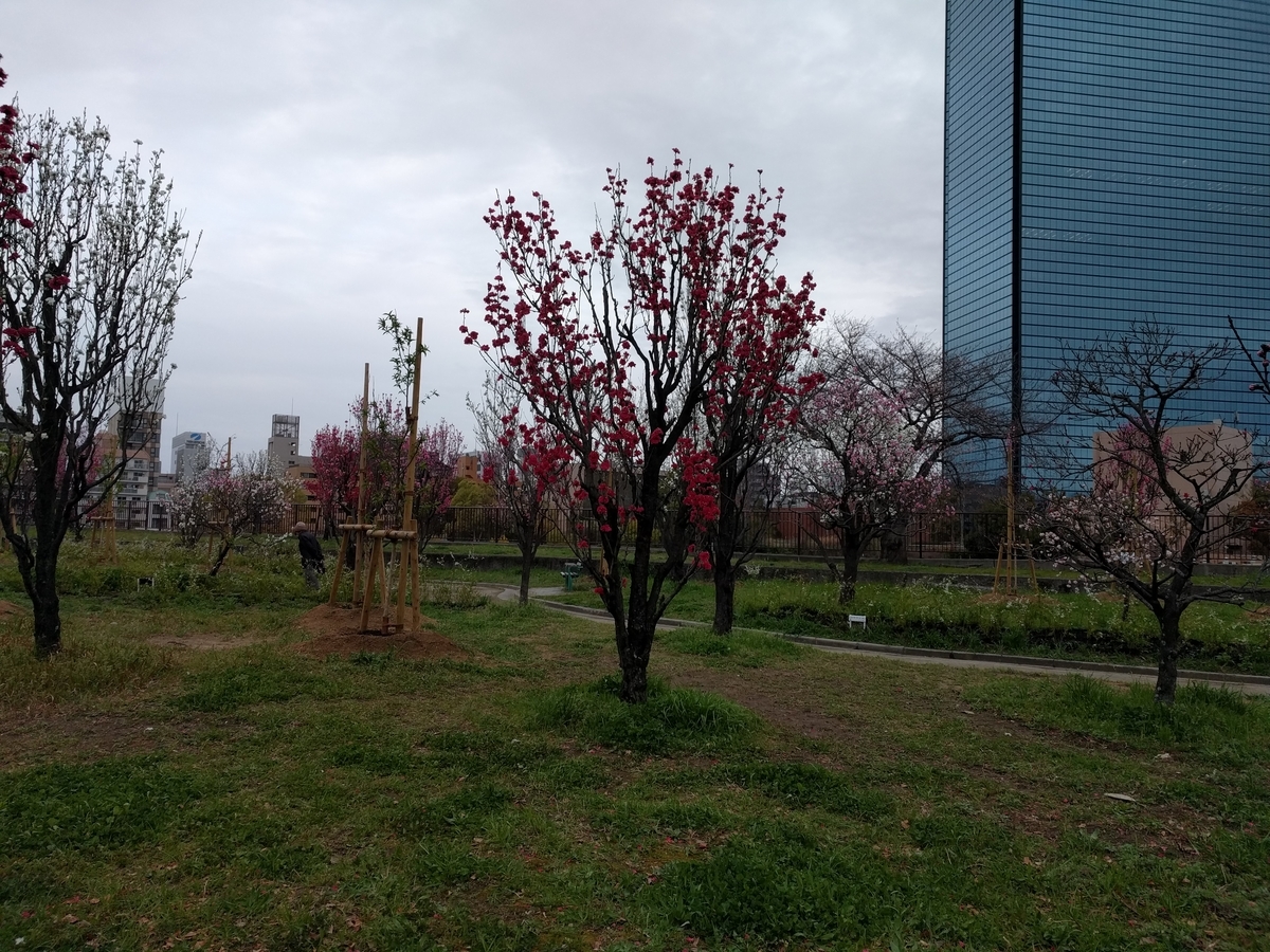 f:id:torisyun:20200401130338j:plain f:id:torisyun:20200401130338j:plain